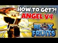 How to get skyangel race v4 race awakening  blox fruits