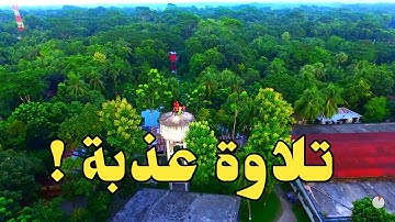 آيات من سورة النحل (وما بكم من نعمة فمن الله) عبد الرحمن مسعد