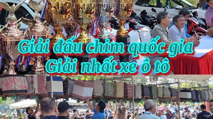 Chim chào mào trắng giá bao nhiêu năm 2024