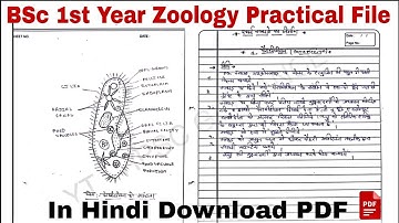 Zoology practical file BSc 1st year in hindi | Zoology Practical file PDF download in hindi