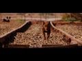 The official red dog trailer