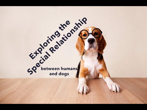 Video: Apa Deklarasi Sosialita Ini Dan Anjing Dekadensi Guru Makan Setiap Hari