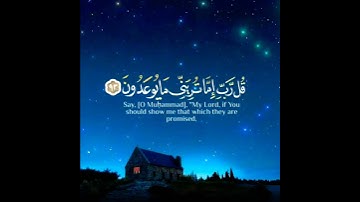 ستوريات انستا دينية//القارئ: رعد الكردي//حالات واتس اب دينية//بدون حقوق
