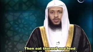 Tawfeeq As-Sayegh Quran Recitation Video Islamic