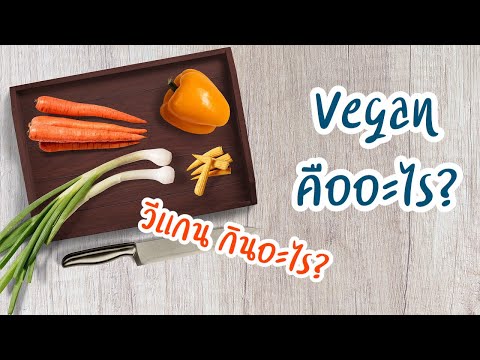 วีแกนคืออะไร? Vegan กินอะไรได้บ้าง? | เล่าเรื่องการใช้ชีวิตแบบ Vegan