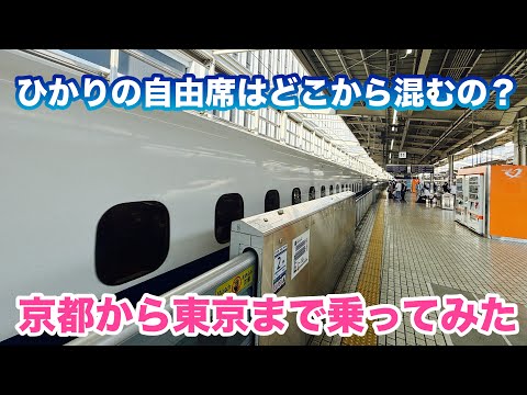Where does it get crowded?] For unreserved seats on the Tokaido 