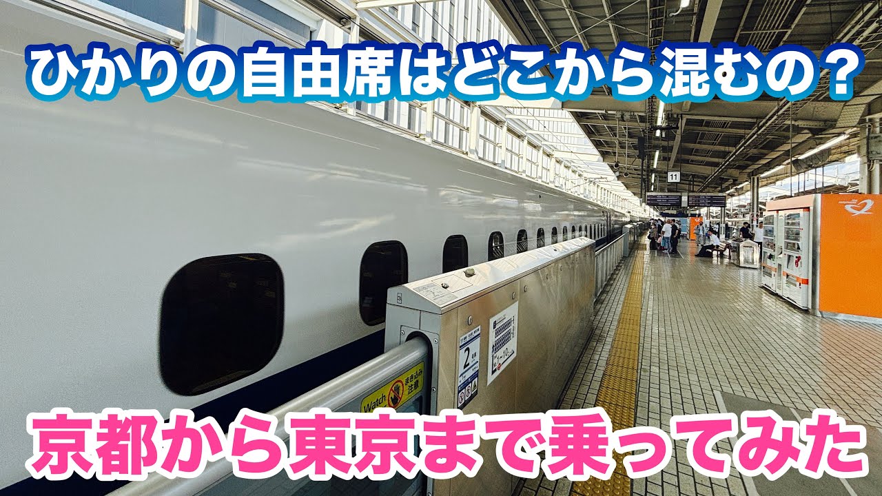 ひかりの自由席は混んでるの？実際に確かめに行ってみた【静岡→東京】