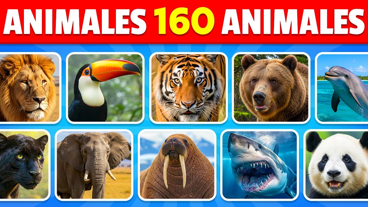 Adivina 160 animales en 3 segundos 🐶🦁✅ | Fácil, Medio, Difícil, Imposible