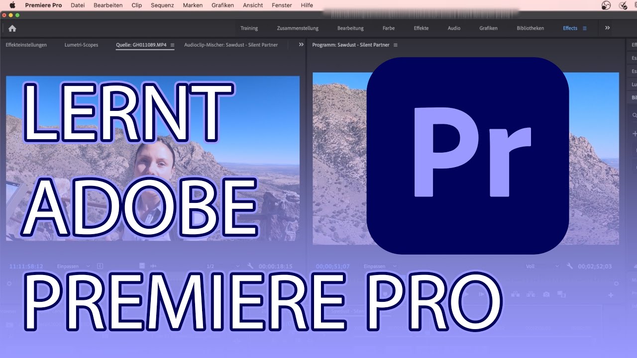 adobe-premiere-pro-quelle-wird-vergr-ert-in-der-vorschau-angezeigt