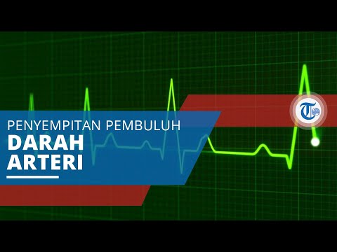 Video: Aorta Perut - Cawangan, Aterosklerosis, Pecah