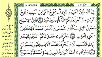 الصفحة 140 :سورة الأنعام من الآية 95 إلى 101