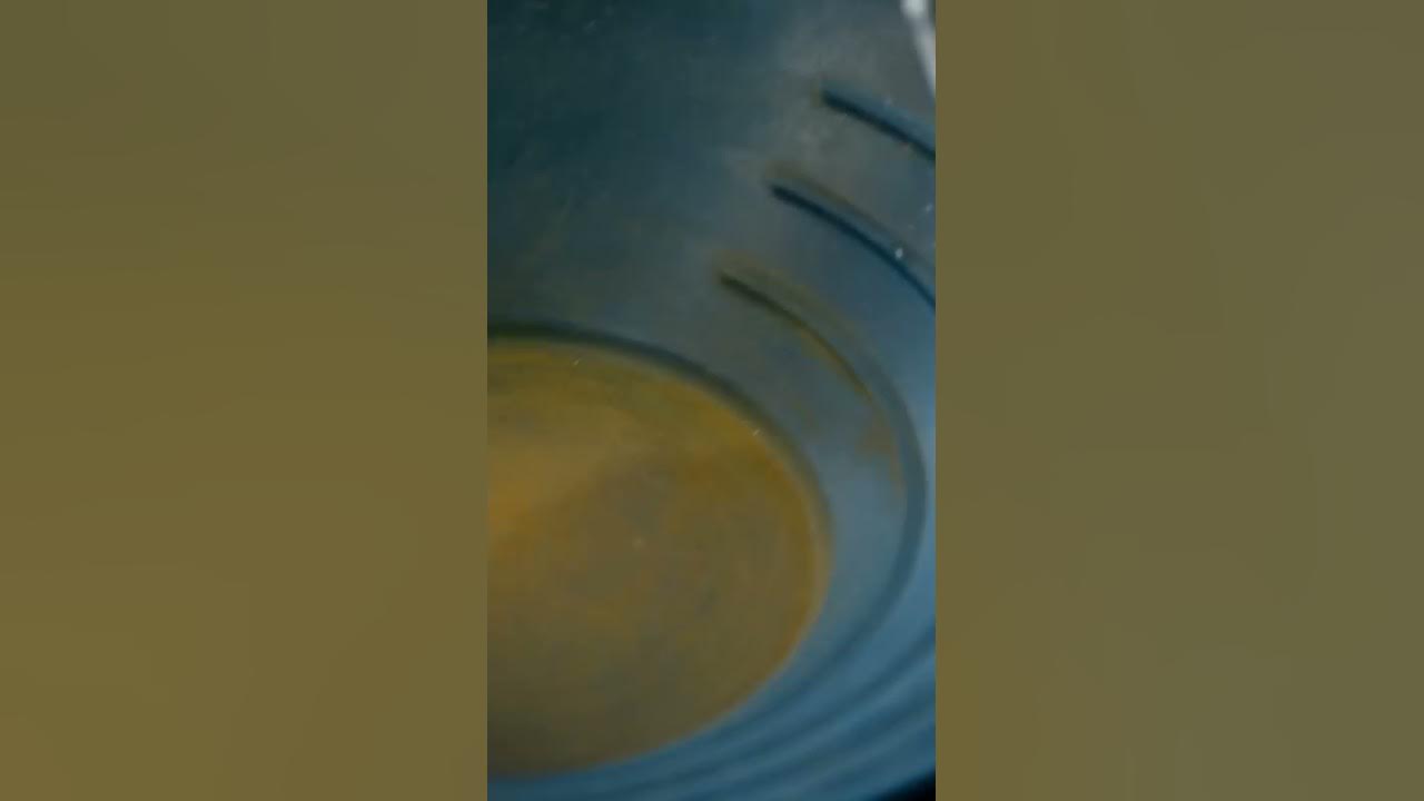 How Much Gold Did Parker Mine? Gold Rush shorts YouTube