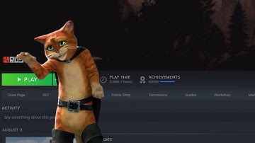 "So how many hours do you have on Rust?"