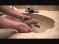 How to give your hedgehog a bath