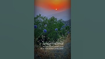 سورة الفتح  عبدالرحمن مسعد