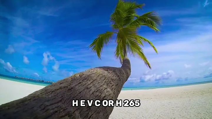 The Difference Between x265 and x264 Video Coding