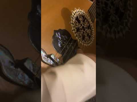 إمبراطور العود الفنان أبو عايض ضناني الشوق