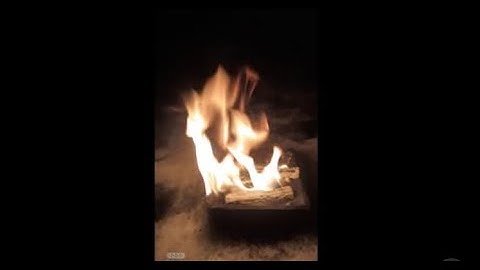 Whtie Autochthon News Netwrok   Episode 21