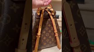 Louis Vuitton Montsouris Pm Backpack. Should I Get It