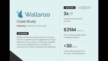 Wallaroo Scales for the Future With Replicated