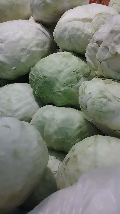 Молодая капуста.Цена со скидкой.Магазин Маркет опт#молодаякапуста#цена# ...