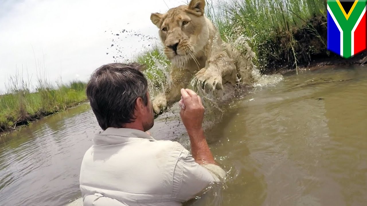 Kevin Richardson: GoPro captures lion whisperer convincing lioness to
