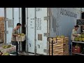 Container lạnh 20feet sơn mới, mặt máy carrier 2007 | Container lạnh cấp đông