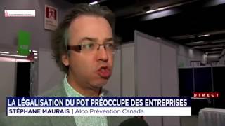 Dépistage de drogue en entreprise. Reportage à TVA