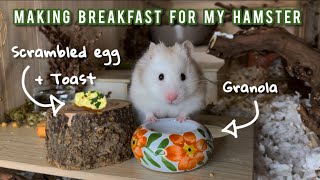 Making breakfast for my hamster