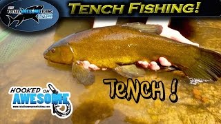 Fishing for Tench - Epic action! | TAFishing