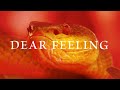 DEAR FEELING/THE YELLOW MONKEY うさぎが歌ってみた -cover-【#バーチャルうさぎ 】