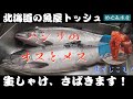生鮭【さばき方本編】オスの3枚下ろし・メスの醤油いくら・塩筋子の作り方を全まとめして配信します。初めての長編です。