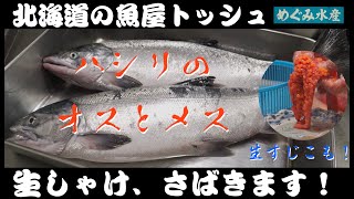 生鮭【さばき方本編】オスの3枚下ろし・メスの醤油いくら・塩筋子の作り方を全まとめして配信します。初めての長編です。