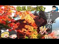 【絶景】明日行ってほしい千葉の秋の魅力7選！【ゆっくり解説】