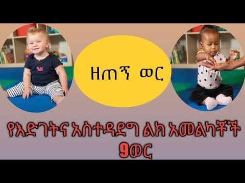 ቪዲዮ: ለምን ሰርጌይ ፔንኪን በግል ሕይወቱ ውስጥ ደስታ አላገኘም -2 ጋብቻ ፣ ያልተጠበቀ ፍቅር እና የስልክ ፍቅር