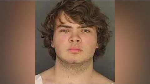 Buffalo shooting suspect pleads guilty to murder and terrorism charges