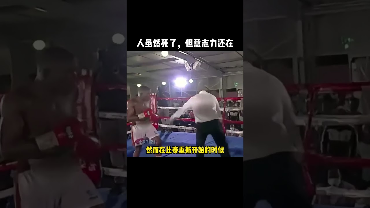 即便死亡，也没能阻止他挥下人生中的最后一拳#拳击#感人#格斗#boxing #moving #精彩片段- YouTube