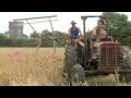 McCormick Binder cutting Wheat - Machines at Work