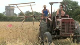 McCormick Binder cutting Wheat - Machines at Work