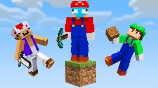 Minecraft But Its One Block