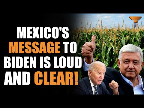 Mexico shocks USA with a ban on GMO corn imports