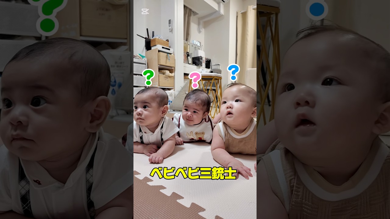 ミニぎしと双子の初対面が癒しすぎた 