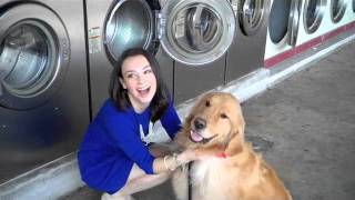 Sweet Lemon Magazine {Behind The Scenes with Carly Heitlinger}