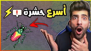 الحدث الجديد 🔥حرب النمل | Pocket Ants