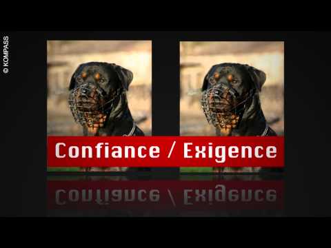 Cyno protec securité