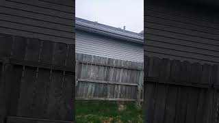 Flying Around My Yard