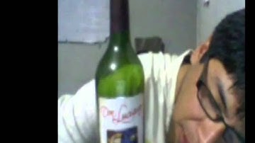 The Best Skype Recorder - Recording Audio and Video from Skype Calls