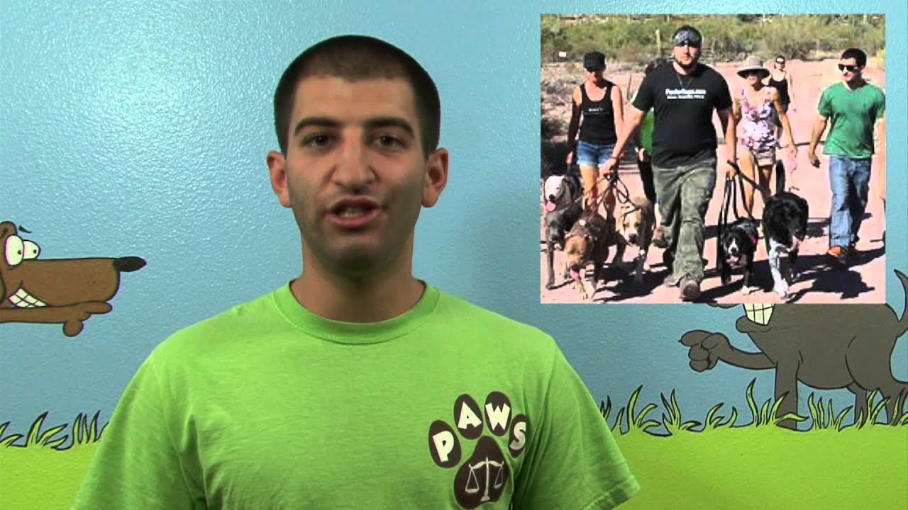 Balancing Paws Website Video 2014