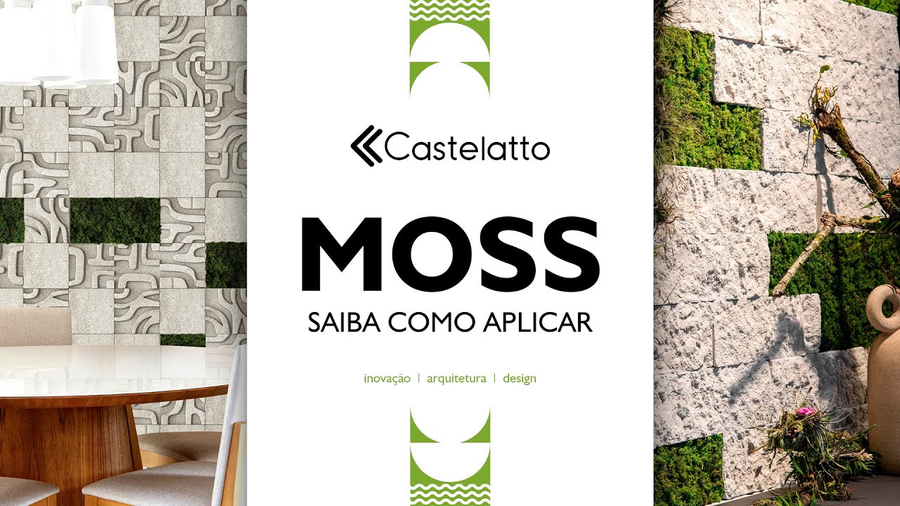 Moss Castelatto- Musgo Natural Preservado