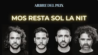 Vignette de la vidéo "ARBRE DEL PEIX - MOS RESTA SOL LA NIT (Lletra/Testo/Lyrics)"